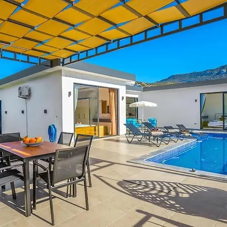 Ortac 3 Doga Icerisinde, Korunakli Villa Kaş