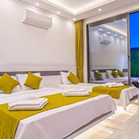 Vila Ortac 3 Doga Icerisinde, Korunakli Kaş